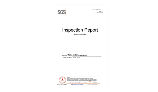 SGS report
